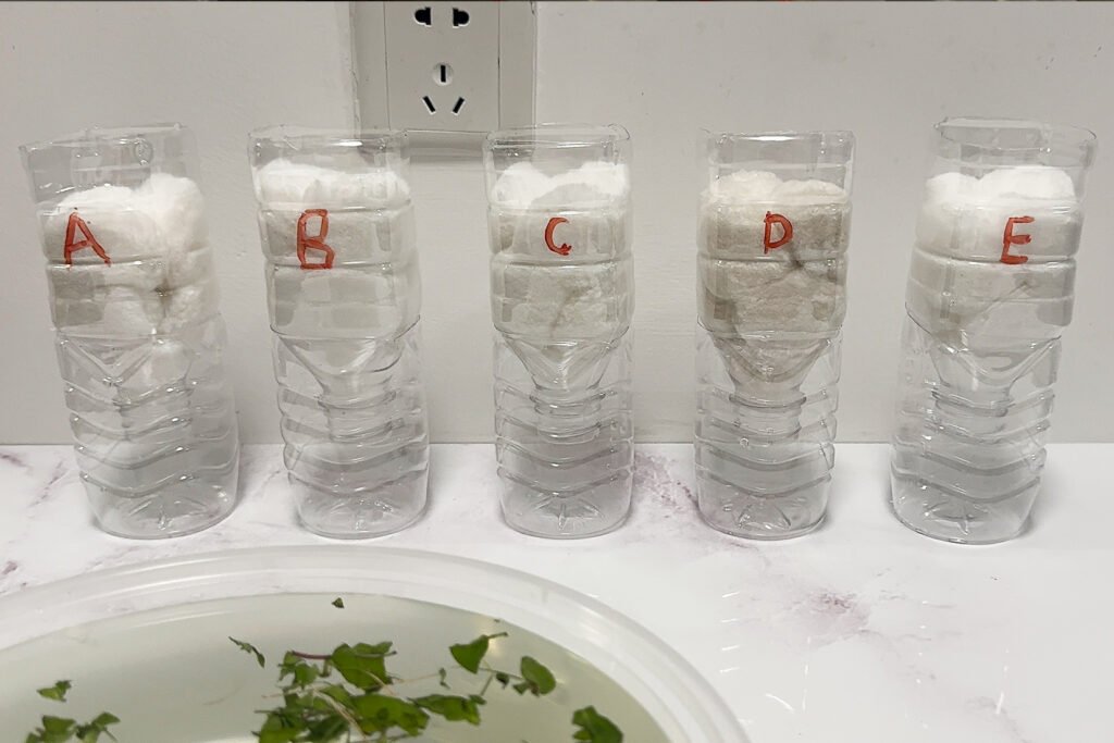 Filter balls filtering green pond water
