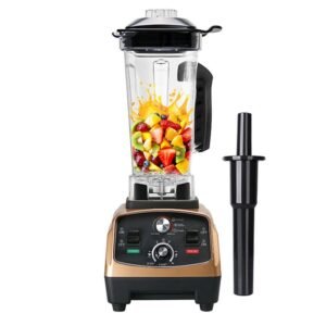 Heavy Duty Commercial Juicer Blender – Front View