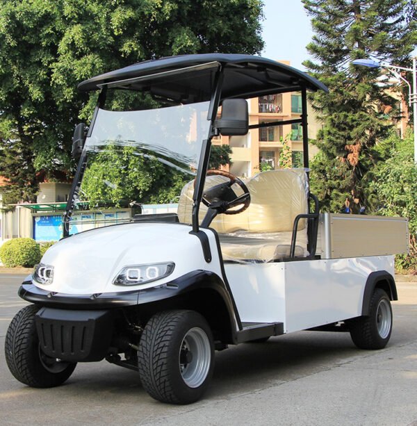 Commercial Electric Utility Vehicle for Hotel Logistics