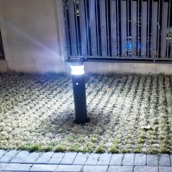 Solar garden light emitting white light on the lawn at night