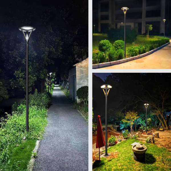 Solar light illuminating a park path at night
